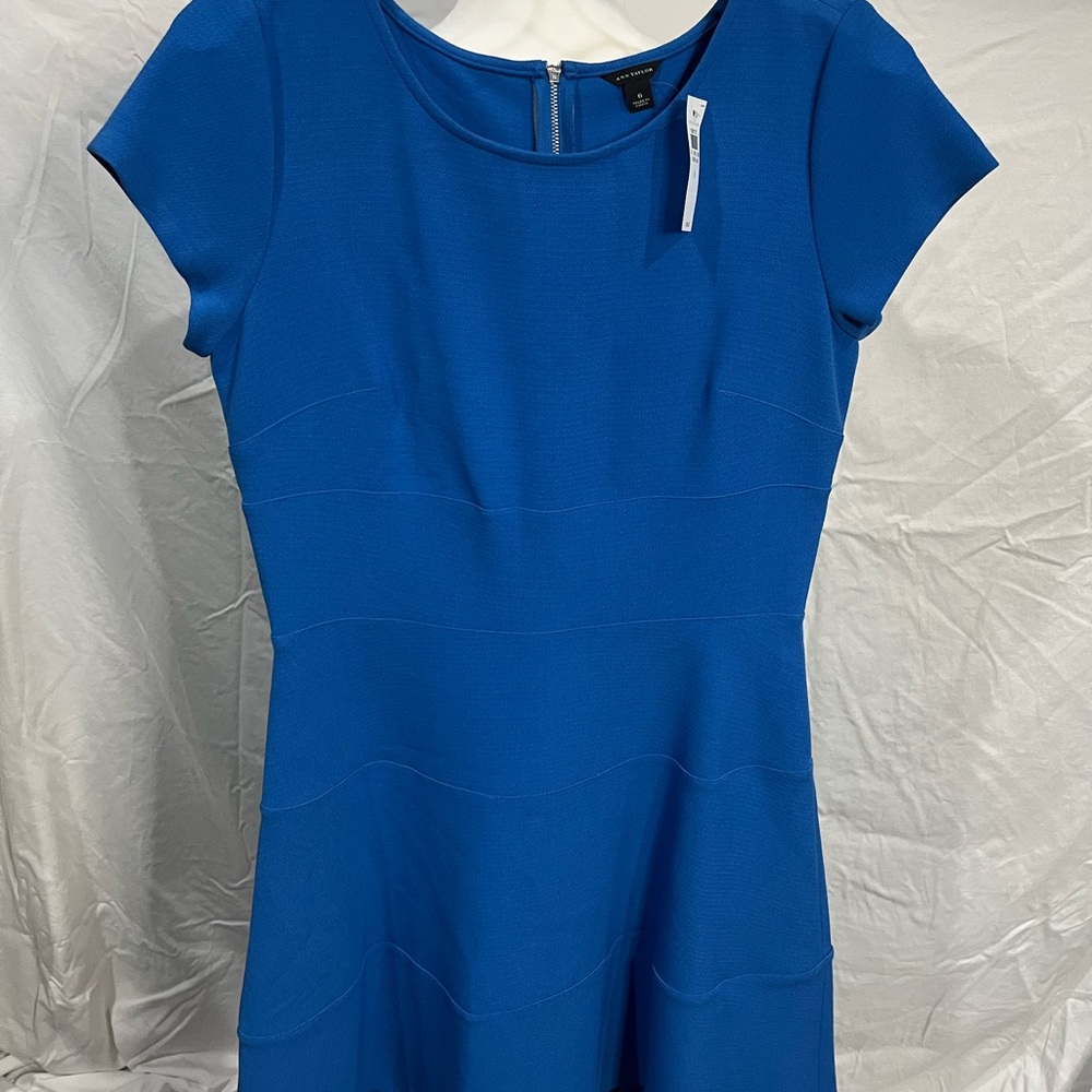 Ann Taylor Vibrant Blue Dress
